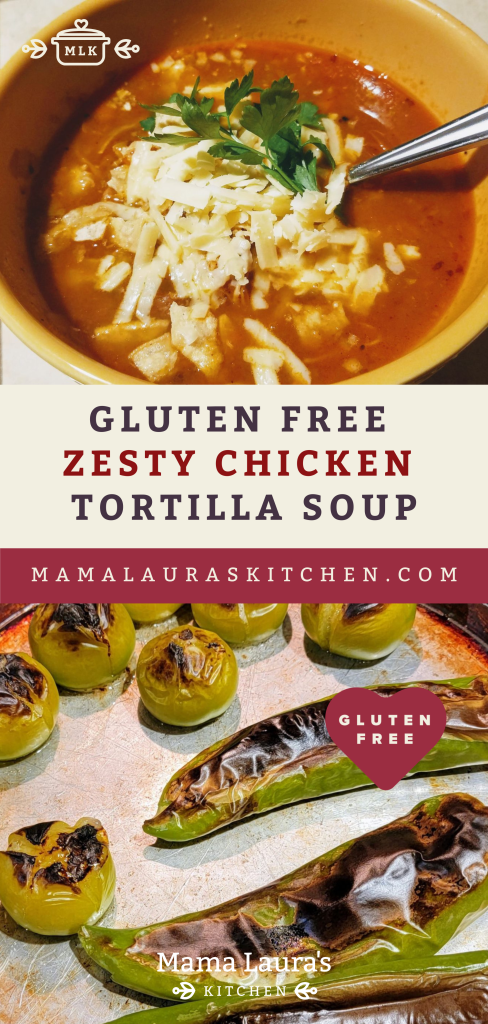 Gluten Free Zesty Chicken Tortilla Soup