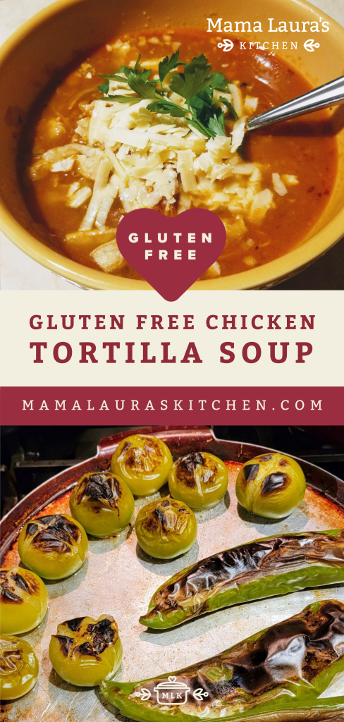 Gluten Free Zesty Chicken Tortilla Soup