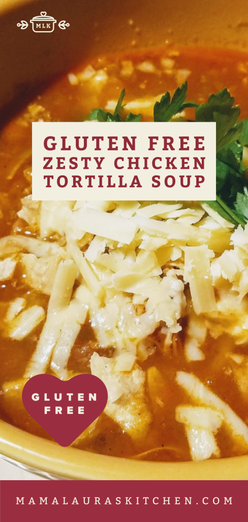 Gluten Free Zesty Chicken Tortilla Soup