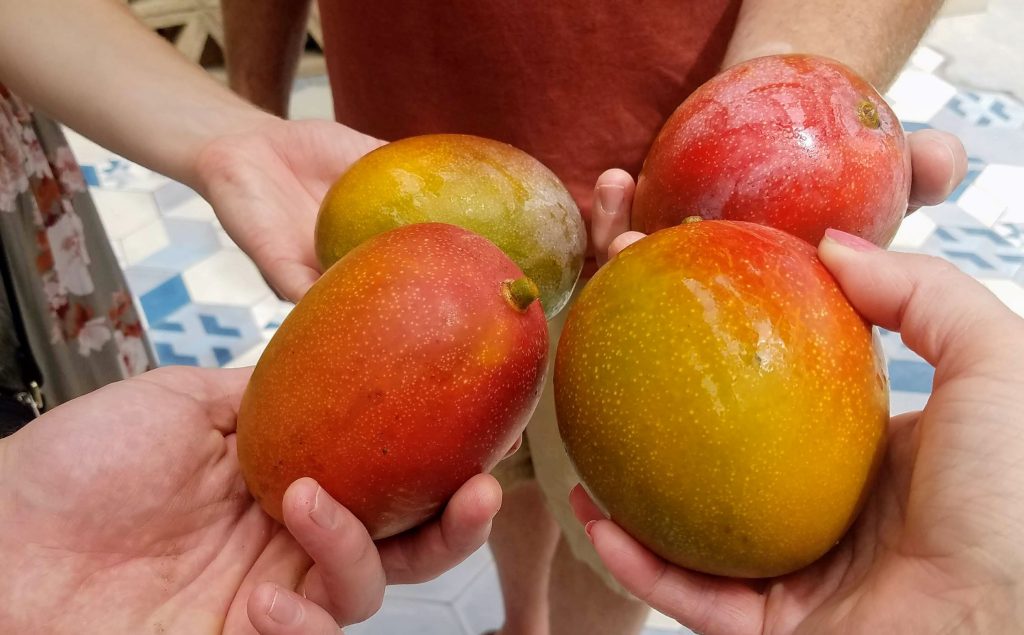 Papaya, Avocado, and Quinoa Salad (Gluten Free)