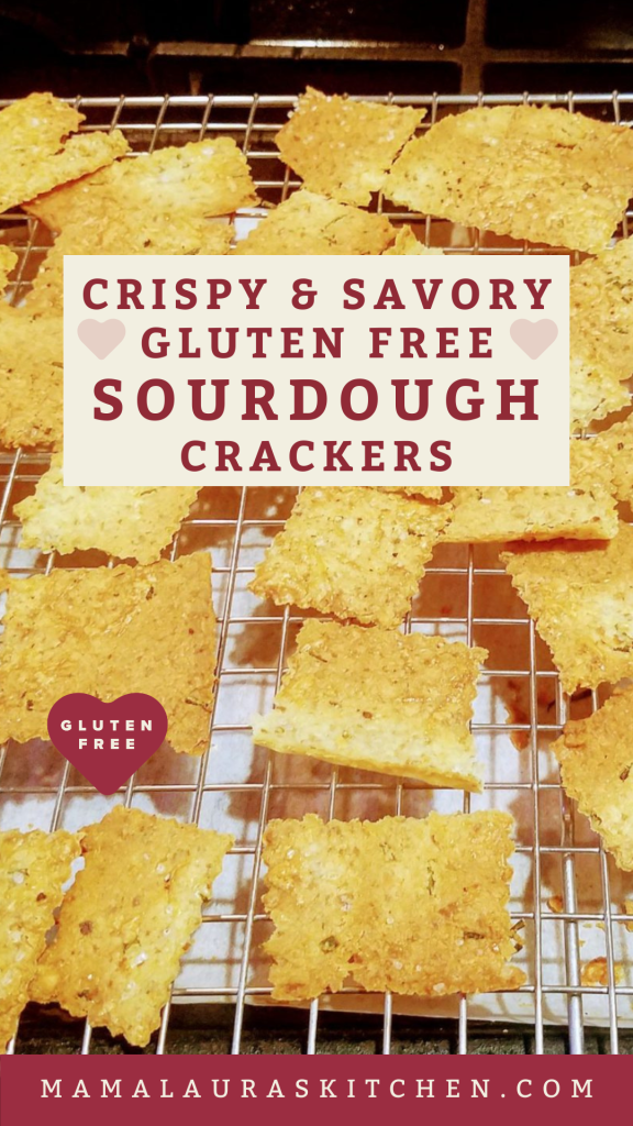 Gluten Free Sourdough Crackers