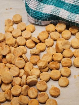 Oyster Crackers made Gluten Free